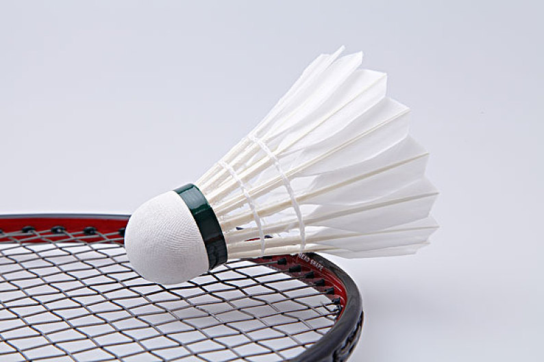 定了详细的 定了详细的